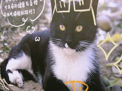 -五月花商业广场(中山五路店)