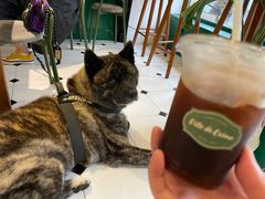 -Legno.ita Coffee by Wood(襄阳南路店)