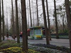 -东平国家森林公园
