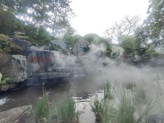 -东莞植物园