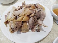 -巫记鸡饭店