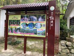 -桂林古东瀑布景区