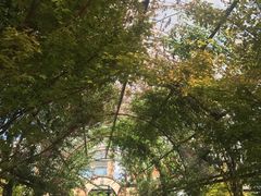 -The Grounds of Alexandria