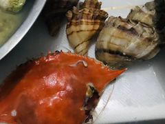 -青岛沙子口国家中心渔港