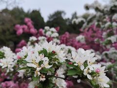-国家植物园