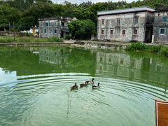 -三泉湾侨文化主题餐厅