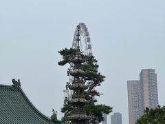 -天津大悲禅院