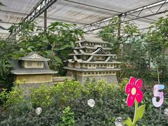 -南宫五洲植物乐园