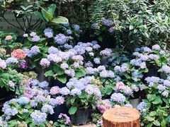 -花二家·生活馆(六运小区店)