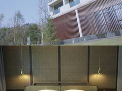 -龙苍沟森林公园