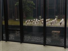 -上海崇明金茂凯悦酒店