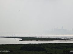 -福田红树林生态公园