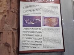 -中国西峡恐龙遗迹园