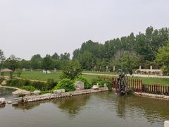 -静之湖湖畔餐厅