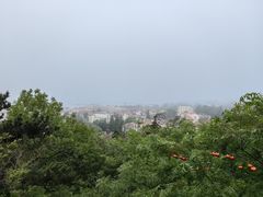 -信号山公园