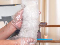 -小猫来了·猫舍(红山六九七九店)