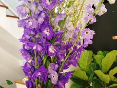 -森野花艺培训·企业团建活动沙龙