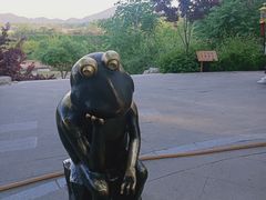 -石家庄市动物园