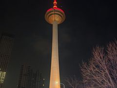 -辽宁电视塔