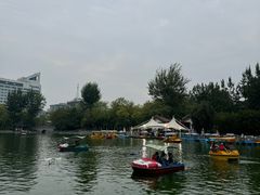 -莲湖公园