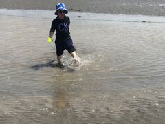 -南汇嘴观海公园