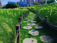 -红花山公园