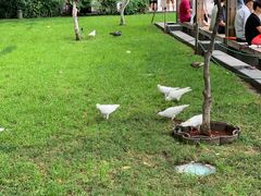 -西湖外事游船(湖滨二公园外事游船码头)