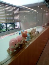 -宝生月子中心·独栋独院式(南山店)