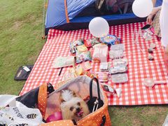 -栖露营camping·天幕烧烤·团建拓展·采摘营地