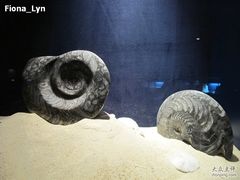 -亚龙湾中心广场·贝壳馆