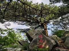 -罗田薄刀峰风景区