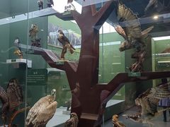 -国家自然博物馆