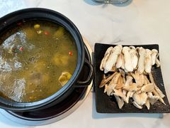 -蘑统田下·野生菌火锅