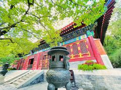-香山公园