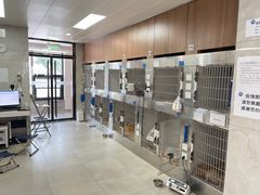 -北京派仕佳德动物医院·超导核磁·CT·神经科·骨科·内外科·急重症管理中心