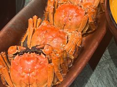 -牛New寿喜烧(龙湖金沙天街店)