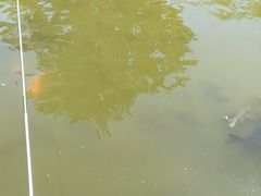 -酷鱼垂钓CLUB(朝阳区博大路店 )