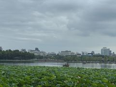 -西湖游船