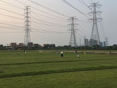 -低涌(地铁站)