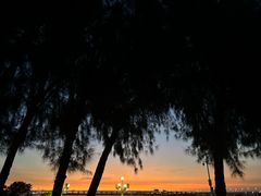 -宝安西湾红树林湿地公园