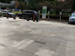 -浦发广场物业管理处