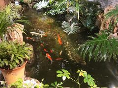 -聚缘堂·海鲜私房菜(松岭路店)