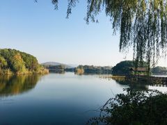 -上海市保健医疗中心