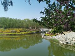 -大兴滨河森林公园