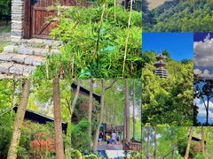 -阿哈湖国家湿地公园