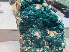 -湖南省地质博物馆