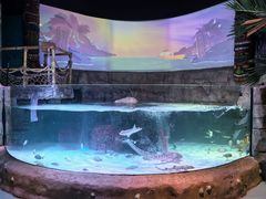 -沈阳海洋探索中心