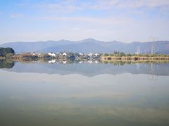 -长田漾湿地公园