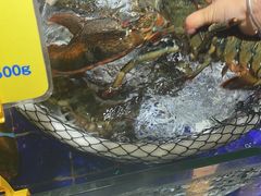 -79号渔船海鲜饭店(华强北店)