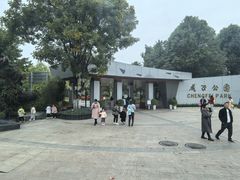 -成飞公园